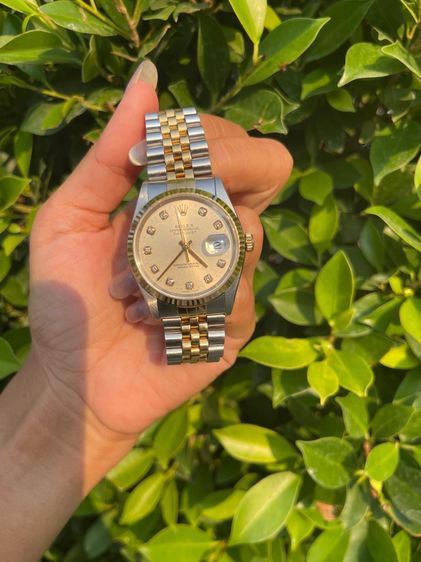 Rolex datejust 16233 36mm W serie รูปที่ 6