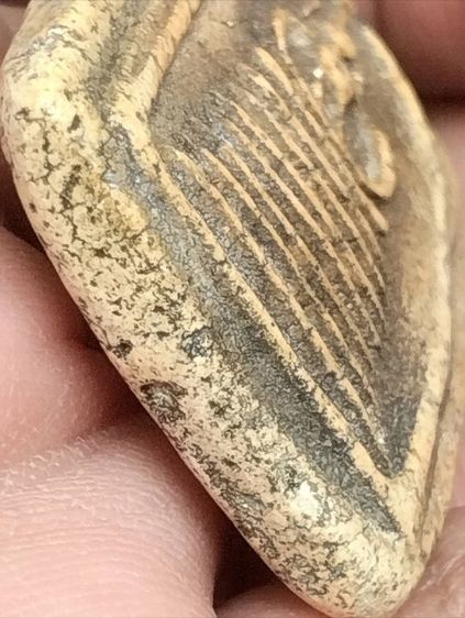 สมเด็จเกศไชโยพิมพ์ฐาน๗ชั้นเนื้อหาสวยมาก รูปที่ 6