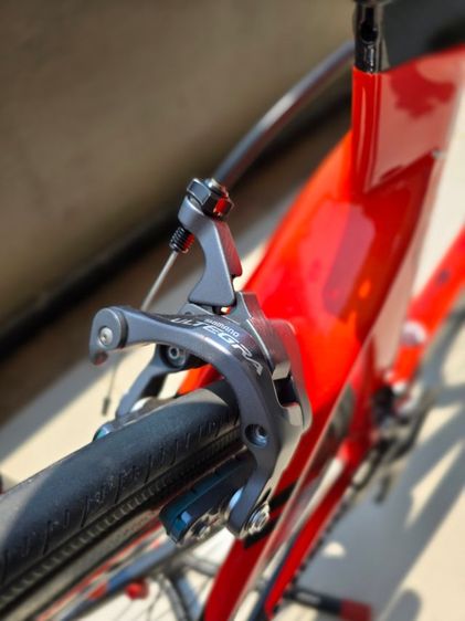 เสือหมอบ SAVA ENTO SIZE 50 165-173