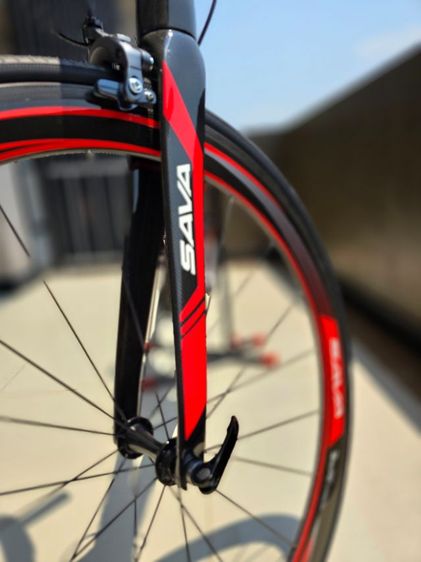 เสือหมอบ SAVA ENTO SIZE 50 165-173 รูปที่ 13