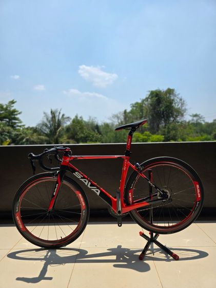 เสือหมอบ SAVA ENTO SIZE 50 165-173 รูปที่ 4