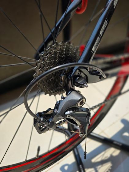 เสือหมอบ SAVA ENTO SIZE 50 165-173 รูปที่ 3