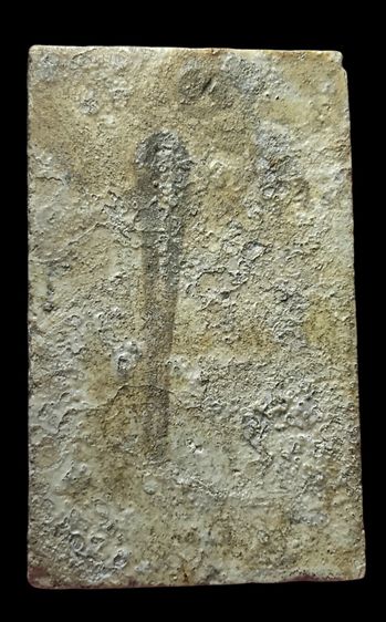 พระสมเด็จ รูปที่ 2