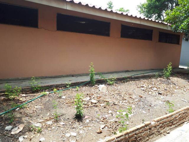 ใช่ ขายที่ดิน 9 ไร่ บ้านพร้อมอยู่เดี่ยวชั้นเดียว  รูปที่ 3