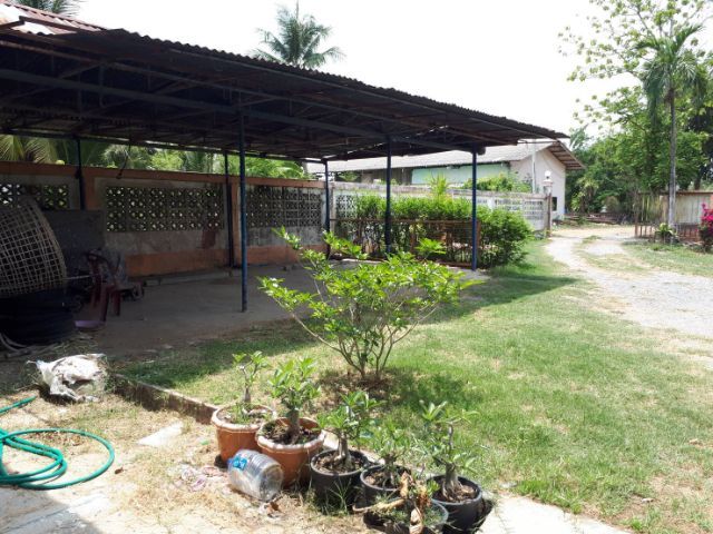 ใช่ ขายที่ดิน 9 ไร่ บ้านพร้อมอยู่เดี่ยวชั้นเดียว  รูปที่ 2