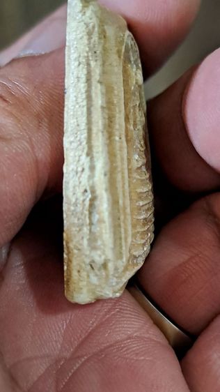 พระสมเด็จ รูปที่ 6