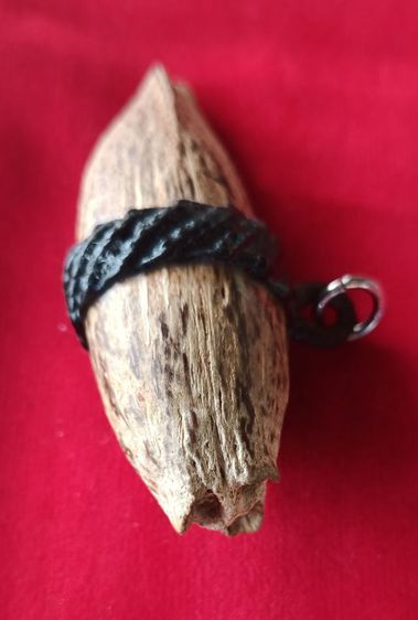 คตมะพร้าวของชลสิทธิ์หายาก รูปที่ 7