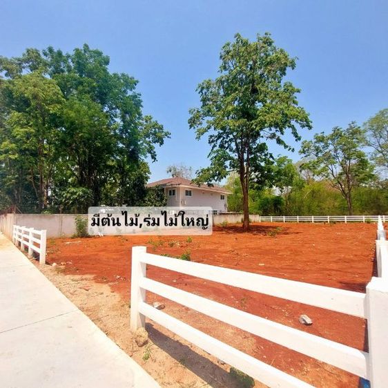 ใช่ ขายด่วนที่ดินหนองสาหร่ายวิวเขา รูปที่ 3