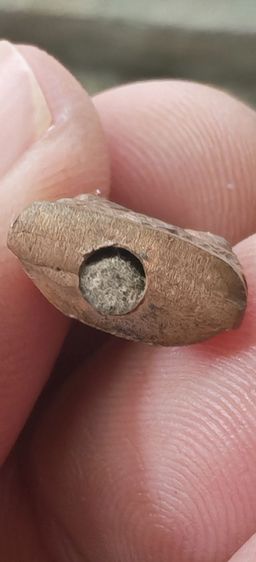 พระชัยวัฒน์ หลวงพ่อลี วัดอโศการาม รูปที่ 5