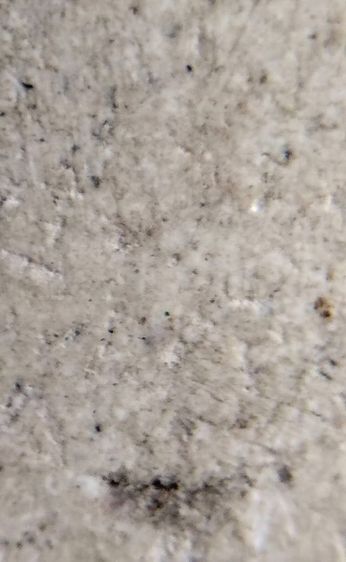 พระสมเด็จ วัดระฆัง บางขุนพรหม วัดเกศไชโย หลวงปู่ภู หลวงปู่นาค รูปที่ 10