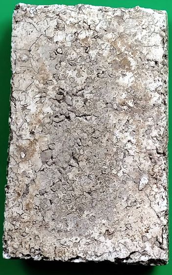 พระสมเด็จ วัดระฆัง บางขุนพรหม วัดเกศไชโย หลวงปู่ภู หลวงปู่นาค รูปที่ 2