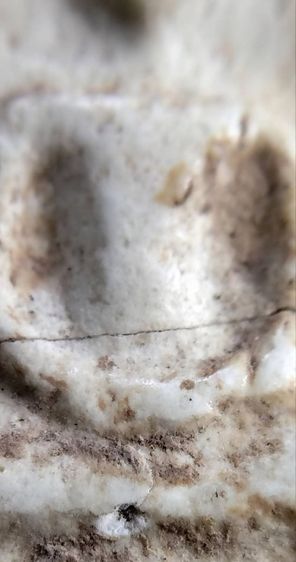 พระสมเด็จ วัดระฆัง บางขุนพรหม วัดเกศไชโย หลวงปู่ภู หลวงปู่นาค รูปที่ 16