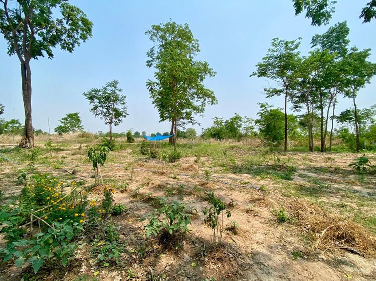 มีบางส่วน 2026 ใช่ บ้านสวน สร้างใหม่ สไตล์โมเดิร์น รูปที่ 3