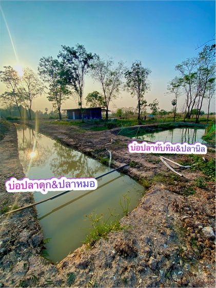มีบางส่วน 2026 ใช่ บ้านสวน สร้างใหม่ สไตล์โมเดิร์น รูปที่ 2