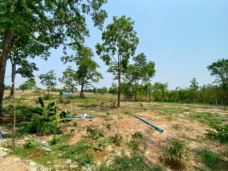 มีบางส่วน 2026 ใช่ บ้านสวน สร้างใหม่ สไตล์โมเดิร์น รูปที่ 4