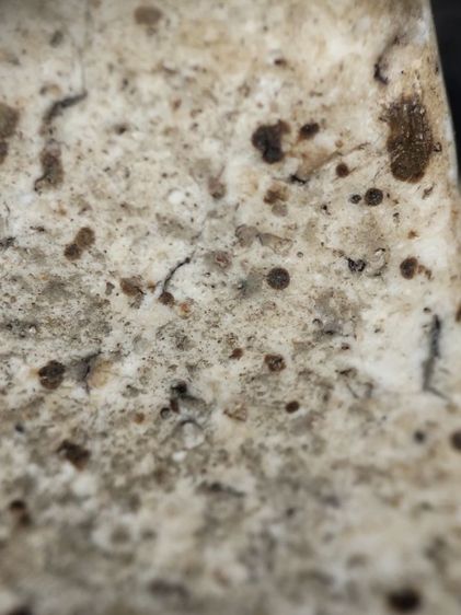 พระสมเด็จสวยแกะออกจากกรอบเก่าครับ รูปที่ 17