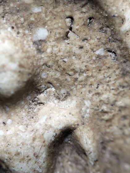 พระสมเด็จสวยแกะออกจากกรอบเก่าครับ รูปที่ 7