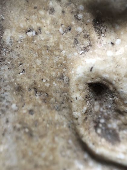 พระสมเด็จสวยแกะออกจากกรอบเก่าครับ รูปที่ 9