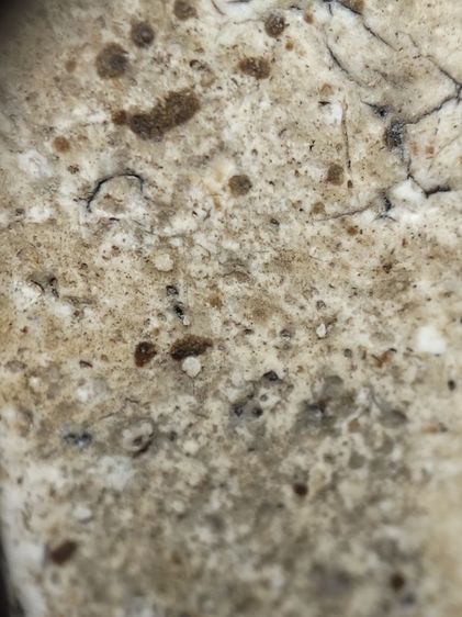 พระสมเด็จสวยแกะออกจากกรอบเก่าครับ รูปที่ 13