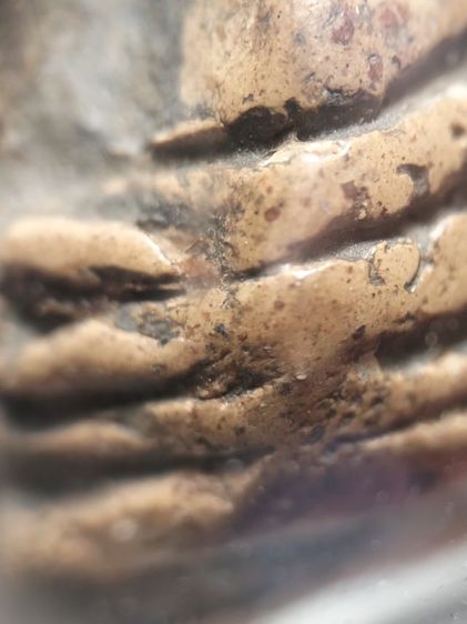 พระคงลำพูนครับ รูปที่ 9