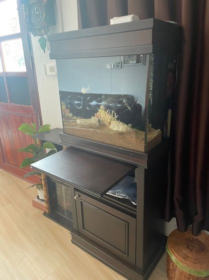 ตู้ปลา รูปที่ 6