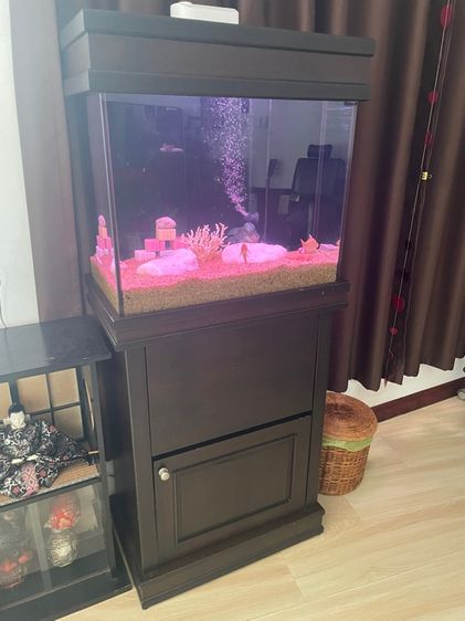 ตู้ปลา รูปที่ 3