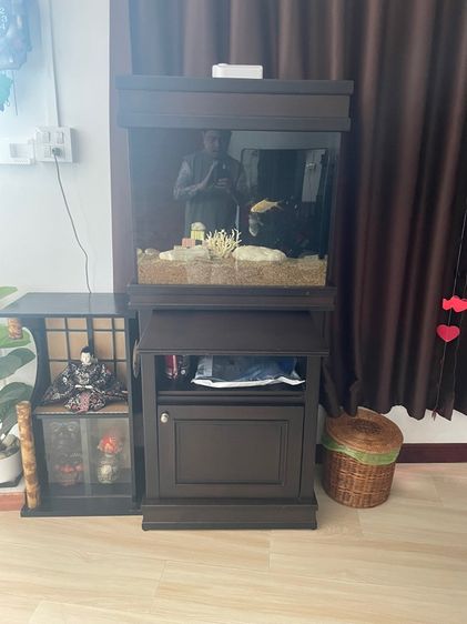 ตู้ปลา รูปที่ 8