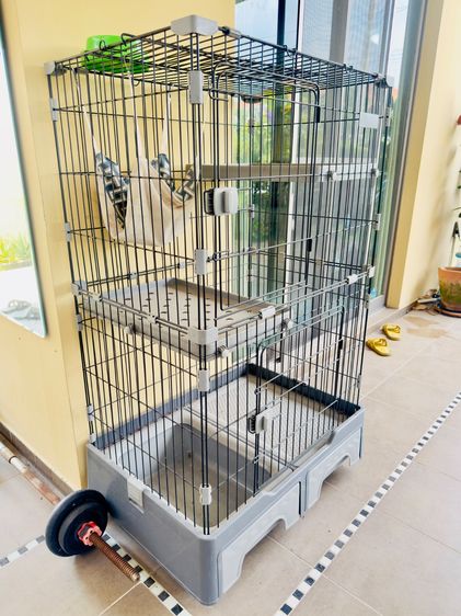 กรงแมว  รูปที่ 3