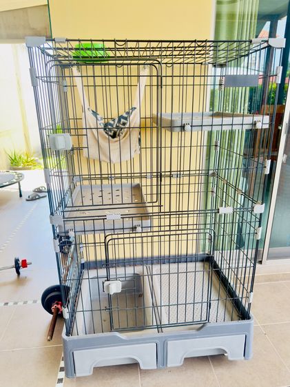 กรงแมว  รูปที่ 2