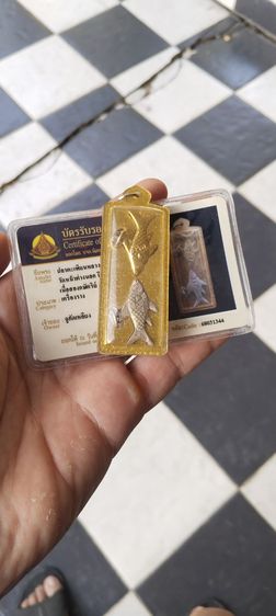 ปลาตะเพียนหลวงพ่อจงวัดหน้าต่างนอก รูปที่ 3