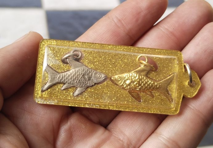 ปลาตะเพียนหลวงพ่อจงวัดหน้าต่างนอก