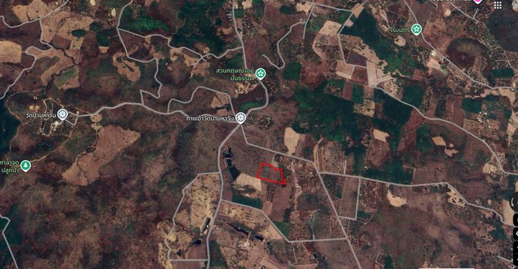 ที่ดินพร้อมต้นสักอายุ 20 ปีกว่า รูปที่ 3