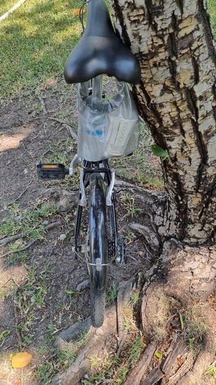 จักรยานพับNogard Flyway205x 
11.5 kg รูปที่ 5