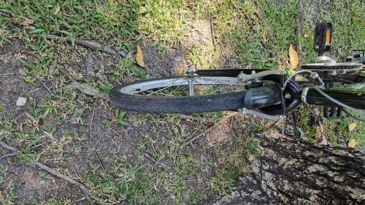 จักรยานพับNogard Flyway205x 
11.5 kg รูปที่ 9