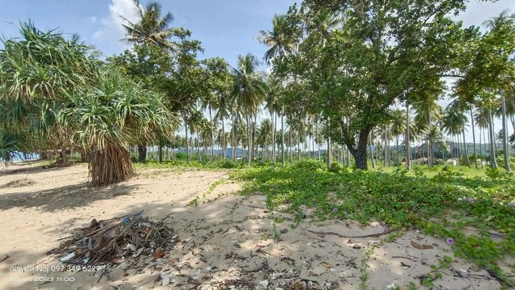 ขายที่ดินโครงการหน้าหาด ฝั่งทะเลอันดามันขนาดใหญ่ 23 ไร่ หาดคลองโขง ใกล้แหล่งท่องเที่ยว ตำบลศาลาด่าน อำเภอเกาะลันตา จังหวัดกระบี่ รูปที่ 3