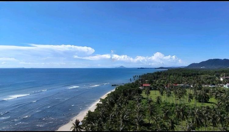 ขายที่ดินโครงการหน้าหาด ฝั่งทะเลอันดามันขนาดใหญ่ 23 ไร่ หาดคลองโขง ใกล้แหล่งท่องเที่ยว ตำบลศาลาด่าน อำเภอเกาะลันตา จังหวัดกระบี่ รูปที่ 2