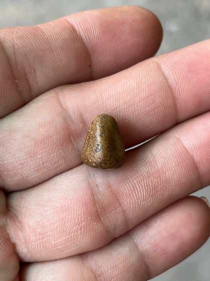 ปิดตา รูปที่ 3