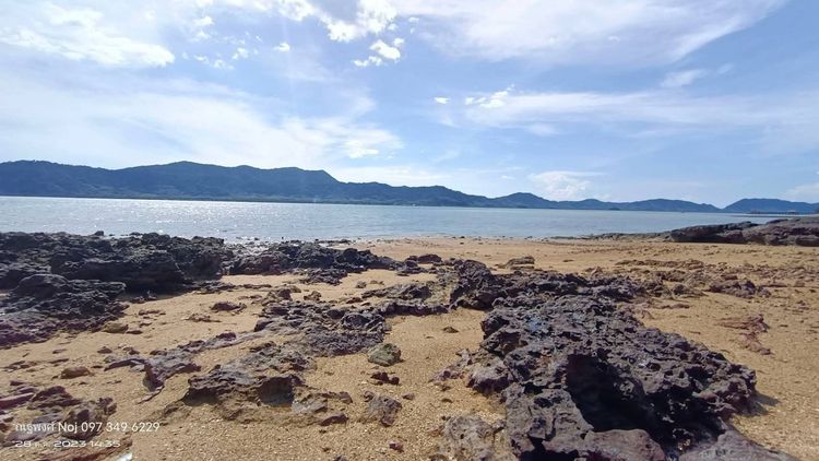 ขายที่ดินเกาะปอ 7 ไร่ ติดชายหาดส่วนตัว ตำบลศาลาด่าน อำเภอเกาะลันตา จังหวัดกระบี่ 81150 รูปที่ 4