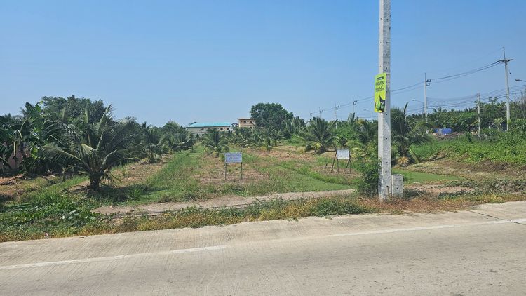 ที่ดินสวมะพร้าวขนาด 1280ตรว. รูปที่ 4