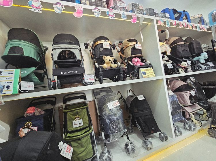  แหล่งรวม รถเข็นสัตว์เลี้ยง หน้าร้าน ถ.เทพรักษ์ บางเขน (เพ็ทพริตตี้) รูปที่ 10