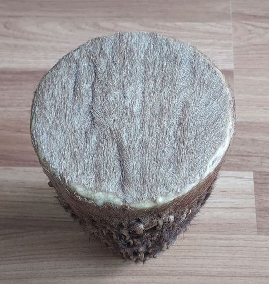 กลองเก่า งานนอก ชนเผ่าโบราณ รูปที่ 5