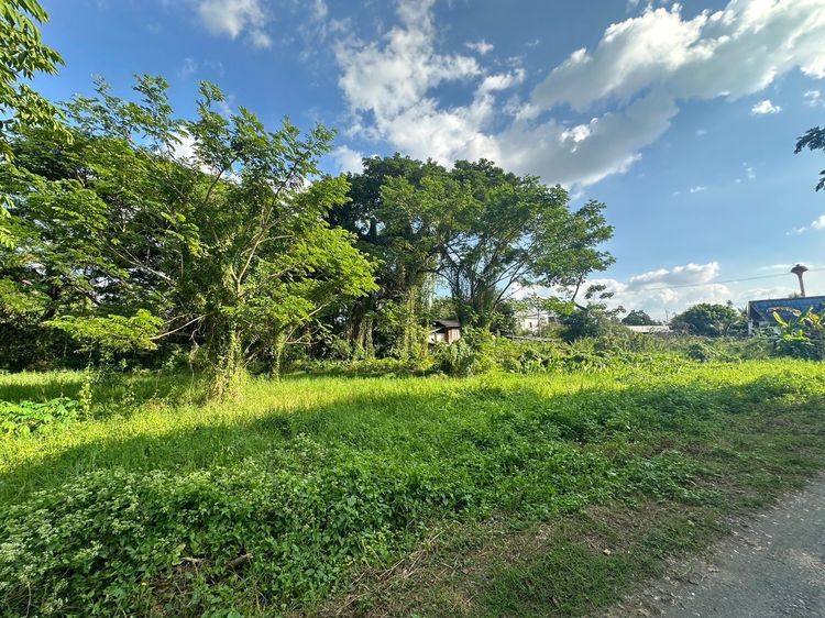 ขายที่ดินแยกสันคะยอม สันทรายน้อยเชียงใหม่ รูปที่ 4