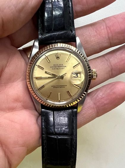 ROLEX 1603 ออโตเมติก 36 mm. 