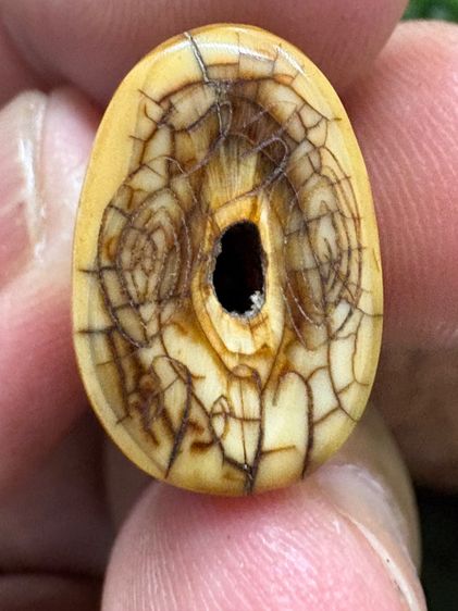 เครื่องรางมงคลหลวงพ่อปาน วัดบางเหี้ย รูปที่ 6