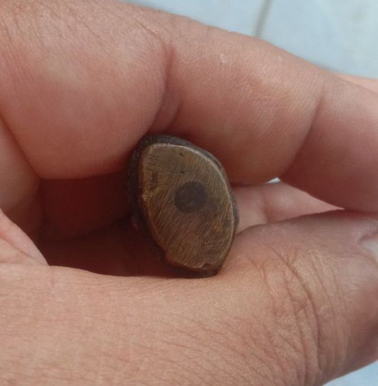 พระกริ่งลพ.มงคลบพิตร จ..อยุธยา รูปที่ 5