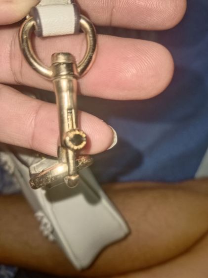 กระเป๋าถือ Coach รุ่น Nolita 19 พร้อมปักลายดอกเดซี่ รูปที่ 8