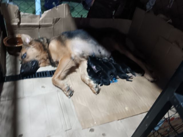 ขาย รูปที่ 5