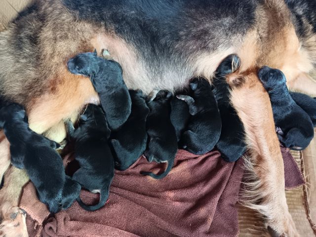 ขาย รูปที่ 3