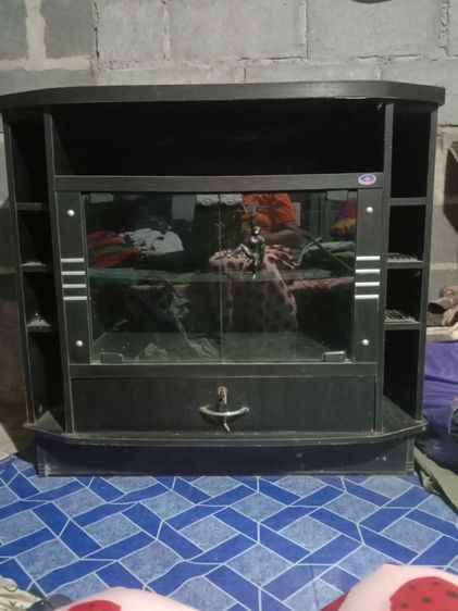 ตู้โชว์วางทีวี ด้านหน้า ด้านข้าง ด้านหลัง สภาพดีหมด พอคนมารับเอง นะคะไม่มีรถไปส่งค่ะ ขาย 350 บาท สนใจทักสอบถามได้ค่ะ  รูปที่ 4