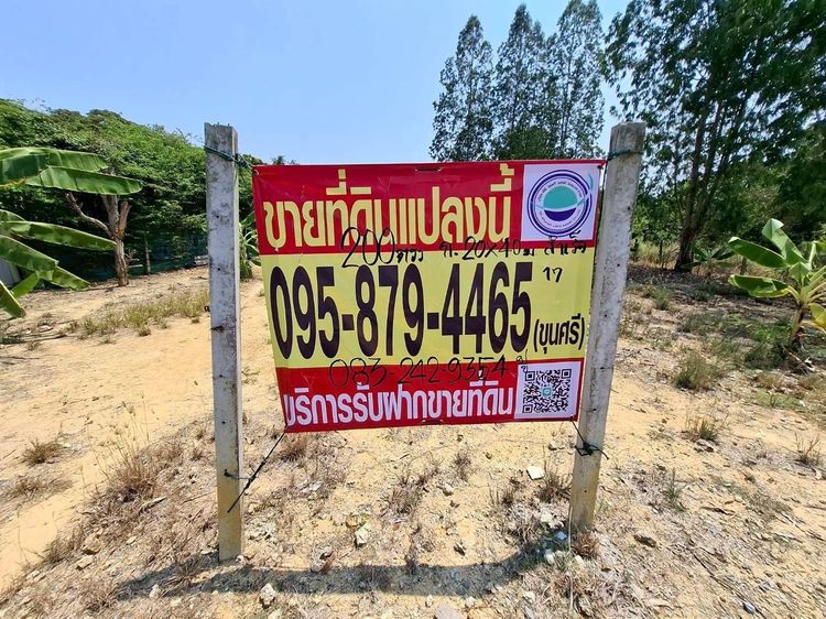 ขายด่วนที่ดิน 198 ตรว ติดถนนลาดยาง ซอย สส.สำเร็จ17 ตำบลบ้านไหม่ อำเภอบางใหญ่ จ.นนทบุรี
